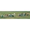 Tug of War Rope - 2 of 2