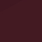 florida state seminoles athletic wordmark