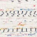 ivory/multi