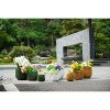 SpassWay 9" Dia Outdoor Indoor Ceramic Planter Pot Decorative Planter with Drainage Hole Patio Flower Pot - 4 of 4