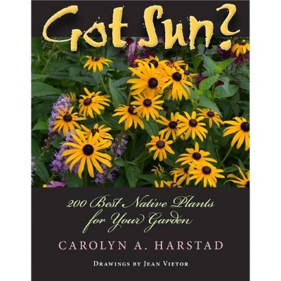 Got Sun? - by  Carolyn A Harstad (Paperback)