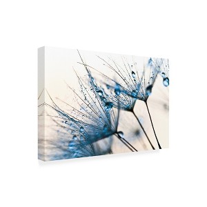 PhotoINC Studio 'Mystic Blue' Canvas Art - 1 of 3