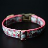 Country Brook Petz Signature Dog Collar Collection - 4 of 4