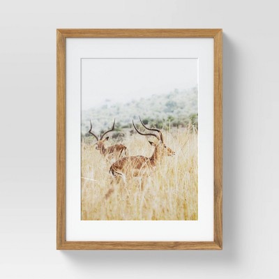 12" x 16" Antelope Matted Framed in Oak Wall Canvas Brown - Threshold™