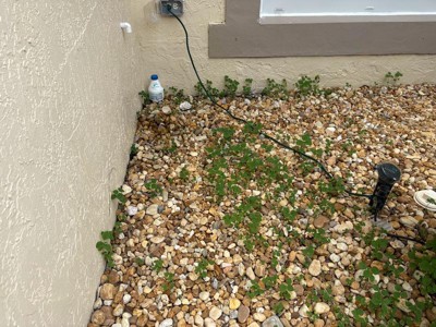 Guest review image 1 of 5, zoom in