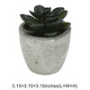 Unique Bargains Artificial Plants Pistachio in Mini Pulp Plastic Green 3.15"x3.15"x3.15" 1 Pcs - 3 of 4