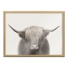 Kate and Laurel Blake Hey Dude Highland Cow Color Framed Printed Art by The Creative Bunch Studio, 18x24, Natural - 2 of 4