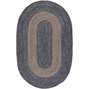 Braided BRA841 Hand Woven Indoor Rugs - Safavieh - 1 of 4
