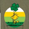 Boys' - Peanuts - Woodstock Shamrock Short Sleeve Graphic T-Shirt - 2 of 4