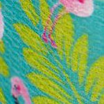 flamingos