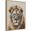 Amanti Art Cool Cat by Mowzu  Framed Canvas Wall Art - 2 of 4