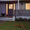 50" Plush Spider Halloween Decorative Prop - Hyde and EEK! Boutique™ - 4 of 4