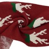 Anna-Kaci Women's Knitted Winter Scarf with Reindeer and Snowflake Holiday Pattern 66×12 Inches - 4 of 4