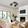 Modern 3-Light Black Ceiling Spotlight Fixture, Adjustable Metal Sphere Flush Mount Lamp for Living Room Bedroom - 4 of 4
