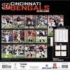 NFL Cincinnati Bengals 2025 12"x12" Team Wall Calendar - 4 of 4