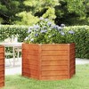 vidaXL Garden Raised Bed Rusty Corten steel Large Tough - 2 of 4
