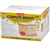 Little Giant 10-Frame Deluxe Assembled Backyard Unfinished Pine Beekeeping Hive - 2 of 2