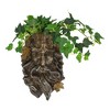 Northlight 10.25" Brown Tree Face Outdoor Garden Planter - 4 of 4