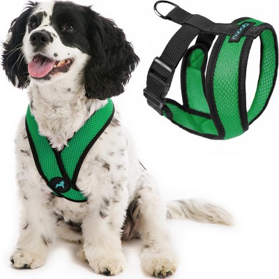 Gooby Comfort X Head In Harness Hunter Green, X