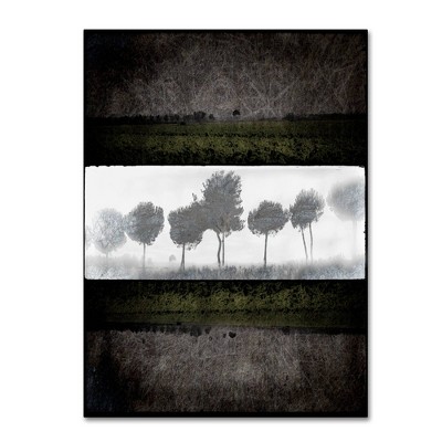 24" x 32" Black Tree 2 by LightBoxJournal - Trademark Fine Art