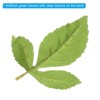 Unique Bargains Artificial Greenery Decoration Wedding Supplies DIY Crafts Artificial Flowers 40 Pcs - 3 of 4