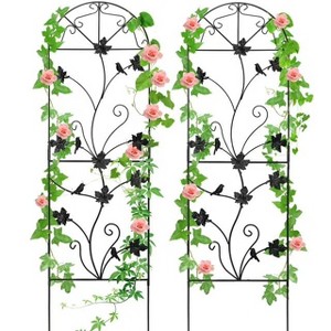 Snynuxx Trellis for Climbing Plants Outdoor Garden Trellis,Plant Trellis for Climbing Rose Vegetable Flower, Lawn, Backyard, Metal Trellis – 2 Pack - 1 of 1