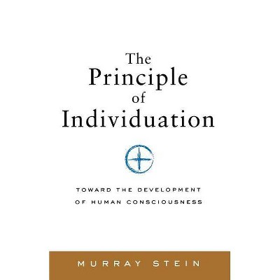 The Principle of Individuation - (Polarities of the Psyche) by  Murray Stein (Paperback)