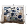 NCAA Penn State Nittany Lions Loco Fan Canvas Decor Throw Pillow - 3 of 3