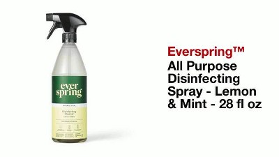 Lemon & Mint Stainless Steel Wipes - 30ct - Everspring™