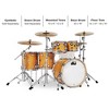 DW 5-Piece Collector's Series Santa Monica Shell Pack With Chrome Hardware Butterscotch - 2 of 4