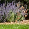 Sullivans 29.25" Graceful Butterfly Metal Stake , Brown - 3 of 4