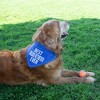 Pavilion Gift Company - Best Golden Retriever - 12" x 8" Canvas Slip on Pet Bandana - Pet Apparel Accessories - 2 of 4