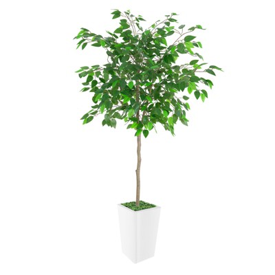 Artificial Ficus Tree, Ideal for Home Decor and Housewarming Gift