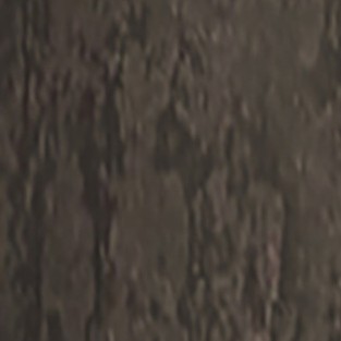 dappled black brown narrow