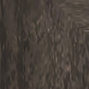 dappled black brown narrow