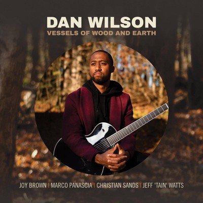 Dan Wilson - Vessels Of Wood And Earth (CD)