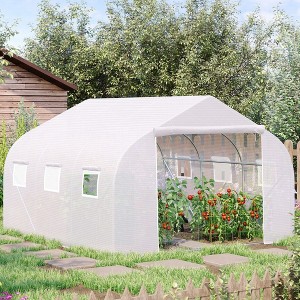 NicBex 11.5'x10'x6.5' Walk-in Tunnel Greenhouse with Roll-up Windows and Zippered Door, PE Cover for Growing Flowers, Vegetables, Saplings, White - 1 of 4