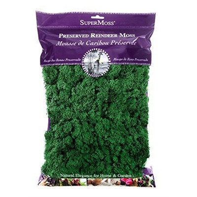 SuperMoss Preserved Reindeer Moss, Forest, 8oz bag (200 cubic inch)