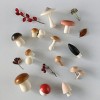 ACEPANO Forest Mushroom Box Set - 2 of 3