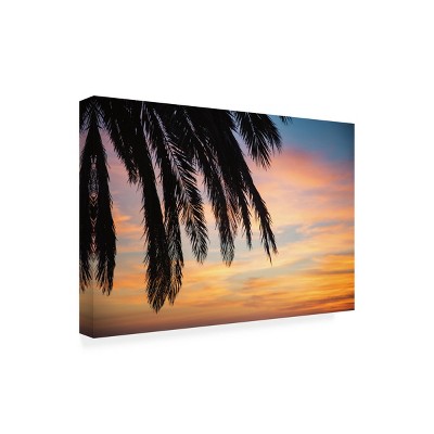 Sunset Palm Landscape Outdoor Canvas Print in Black and Orange