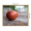 Amanti Art Egg on Wood by Tania Soderman Framed Canvas Wall Art - 3 of 4