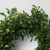 Boxwood Mini Wreath - Room Essentials™ - image 3 of 3