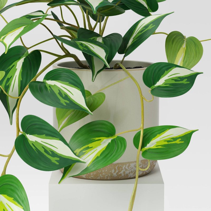 Small Marble Pothos Plant - Threshold&#8482;, 5 of 8