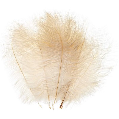Bright Creations 14 Pack Ivory Ostrich Feather Plumes 10 12 Inches for Crafts, Home, Wedding & Party Decorations