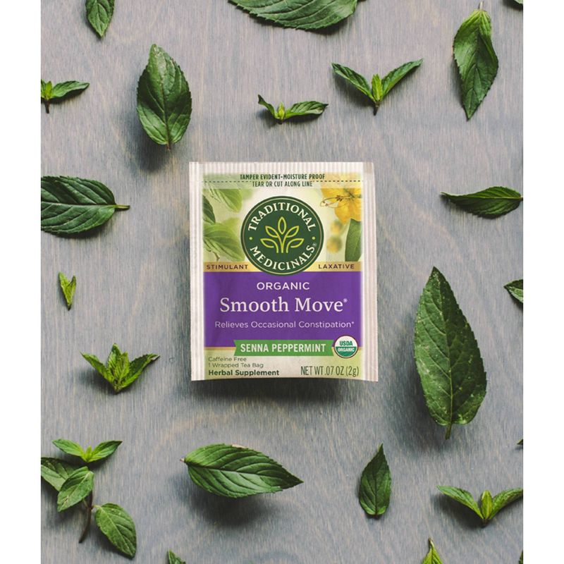 Traditional Medicinals Smooth Move Peppermint Tea Bags - 16ct, 6 of 12