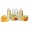 Freida & Joe Bath & Body Collection in a Tub Basket Gift Set - 2 of 4