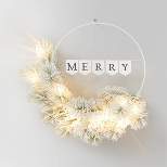20" Battery Operated Lit Flocked Mixed Greenery on 'Merry' Metal Hoop Artificial Christmas Wreath White - Wondershop™