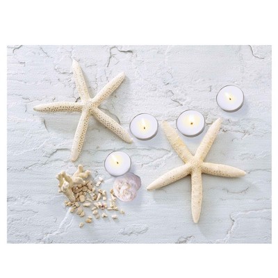 Northlight LED Lighted Starfish, Seashell and Tea Light Candles Canvas Wall Art 15.75"