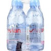 Evian Natural Spring Water - Case of 4/6 pack, 11.2 oz - 4 of 4