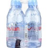 Evian Natural Spring Water - Case of 4/6 pack, 11.2 oz